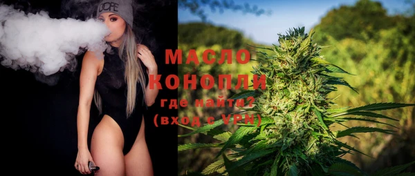 Альфа ПВП Инсар