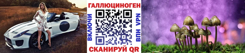 Псилоцибиновые грибы Psilocybine cubensis  Болохово 